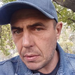 ��������, ������, 46 ���