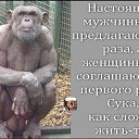���� �������, �����������, 45 ��� - ��������� 15 ���� 2025 � ������ ������ ��������
