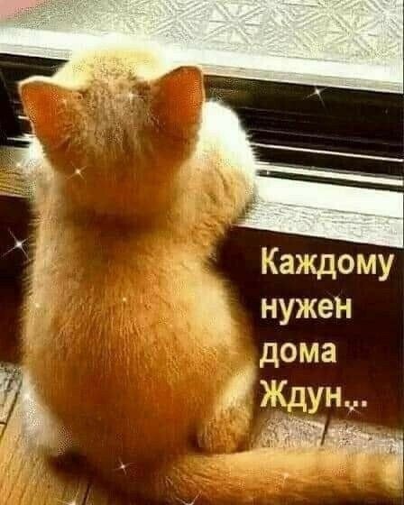  - 27  2024  23:46