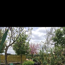 �����, �����, 48 ���