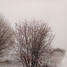 ���� �����, ������, 42 ����