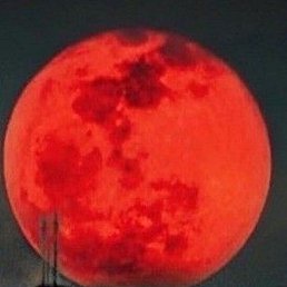 �����, �������, 79 ���