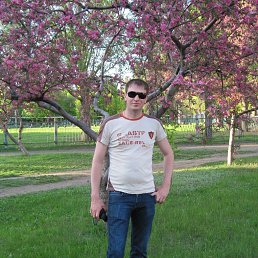 , 40, 