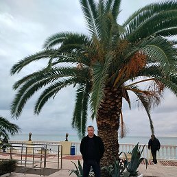 ������, ���������, 43 ����