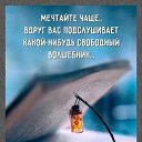 ���� ����, �����-���������, 59 ��� - ��������� 6 ������� 2026 � ������ ���� ����������
