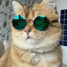 ������, ������, 34 ����