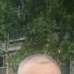 , 41, 