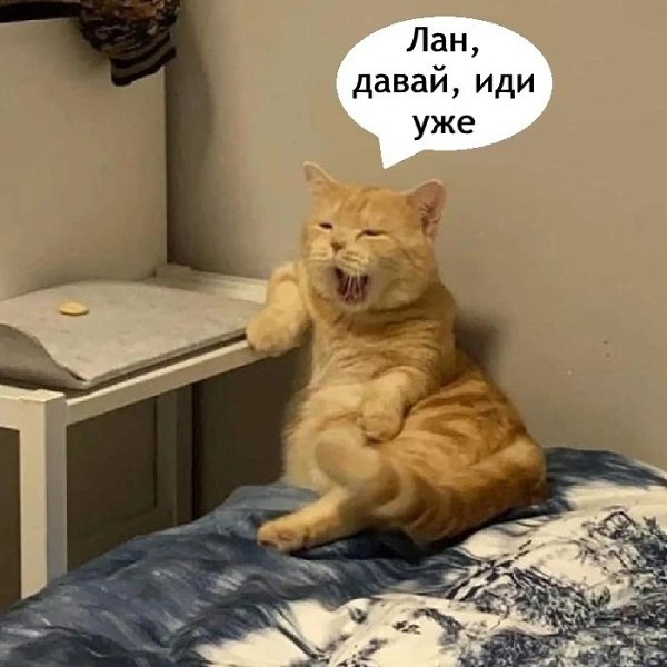  . - 5