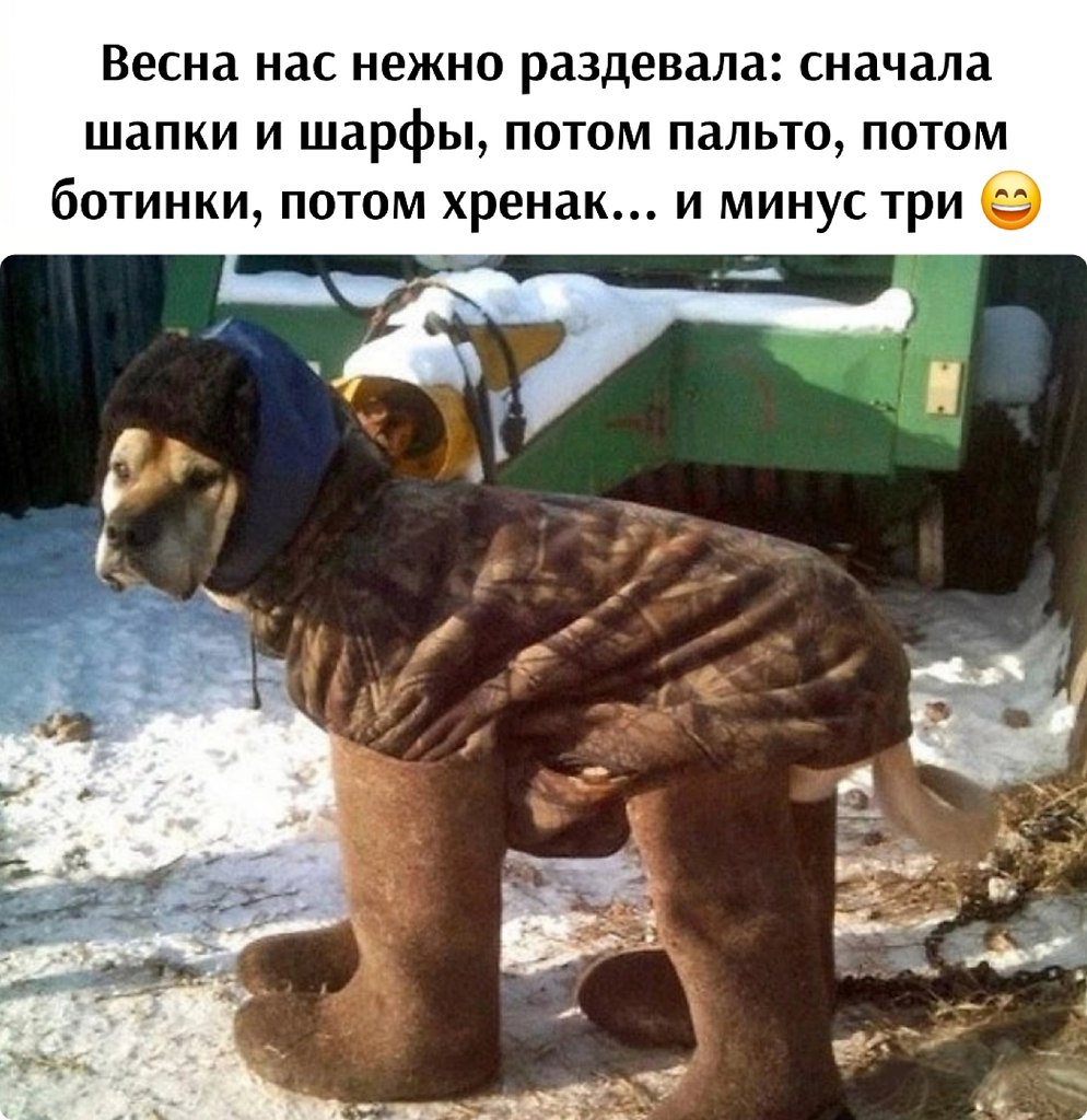   - 27  2025  11:38