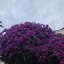  , - -  3  2025   , ,  2025