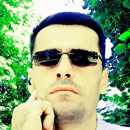 , 37, 