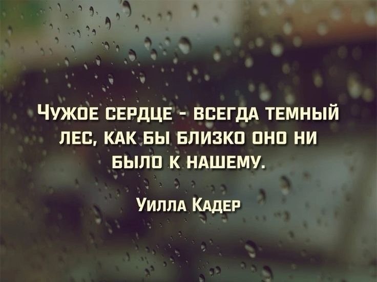   - 11  2024  22:03