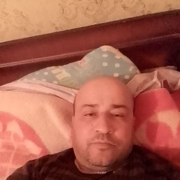  , 41, 