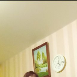 �����, ��������, 41 ���