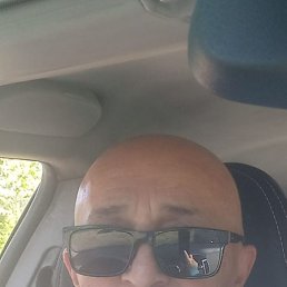 �����, ������, 65 ���