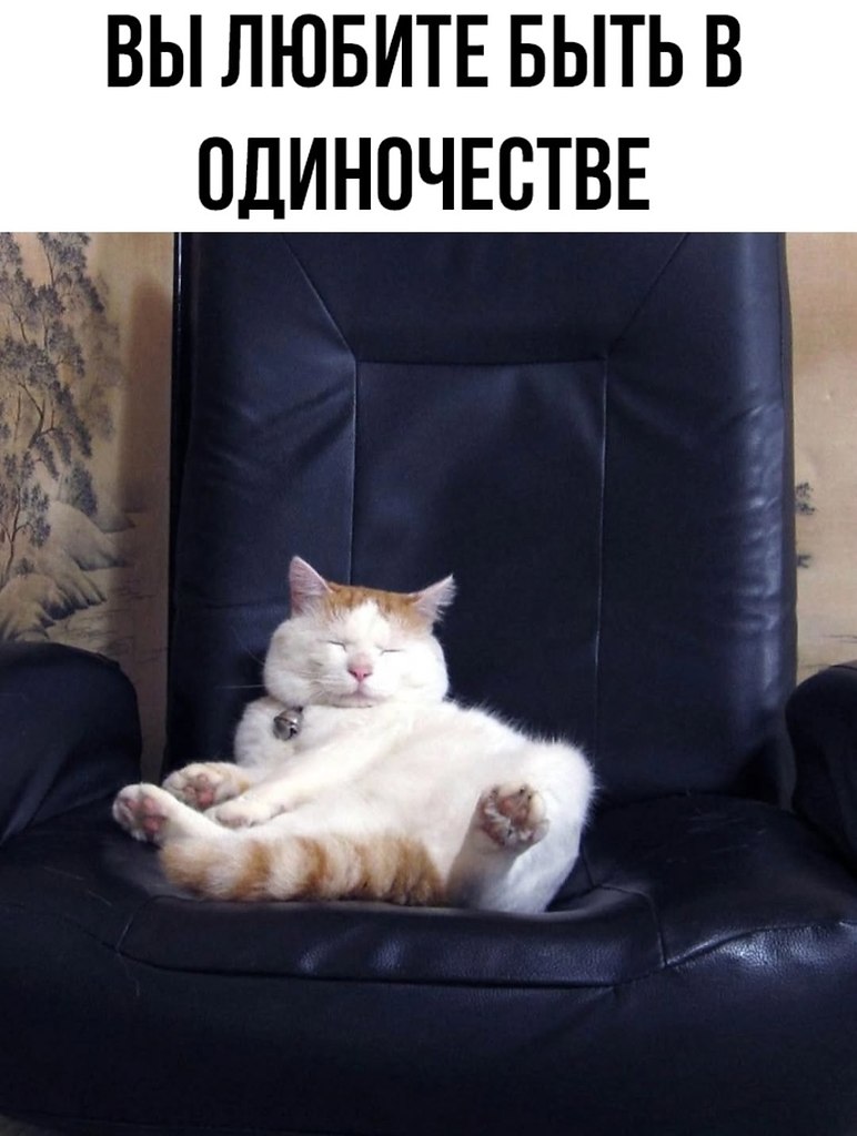  ... - 29  2025  08:14 - 2