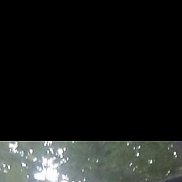 , 45 , 