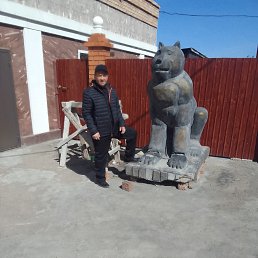 ���� �������, ���������, 46 ��� - ��������� 12 ������ 2026