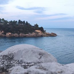 �������, ���������, 56 ���