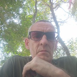 ����, , ���������