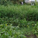 ���� �����, �������� - ��������� 26 ���� 2025 � ������ ������� 2025�