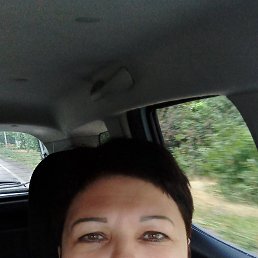 , 48, 