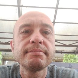 , 41, 