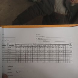 ���� ����������, �����������, 40 ��� - ��������� 1 ������� 2024