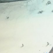 ������, 49 ���, �����������