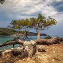 ���� ���������, ������, 67 ��� - ��������� 22 ������ 2026 � ������ ������ 2024�