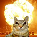 ���� Roman, ���������, 18 ��� - ��������� 30 ������ 2025 � ������ ���� ����������