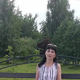 ���� ���������, ����������, 52 ���� - ��������� 10 ������ 2024