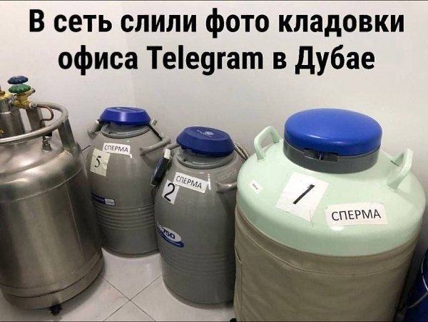 Павла Дурова начали высмеивать в социальных сетях после заявления его отца, основателя ВКонтакте и ... - 4