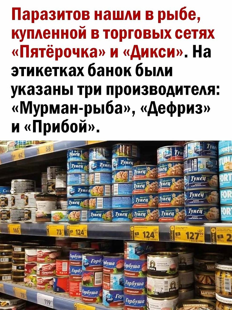  - 29  2025  13:59 - 2
