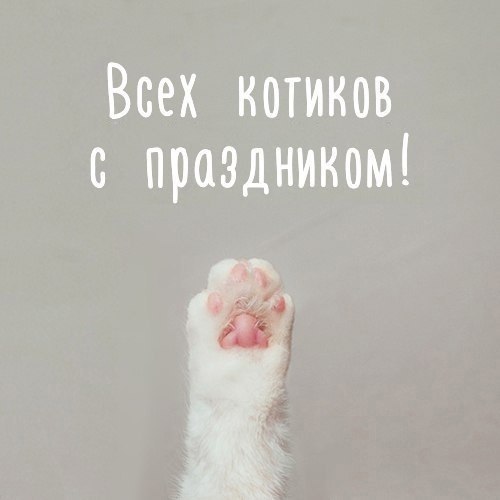       - 1  2024  13:04