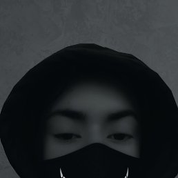 , , 24 