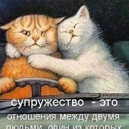 , , 23 
