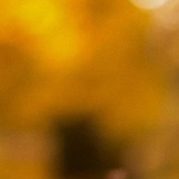 ������, ������ ��������, 58 ���