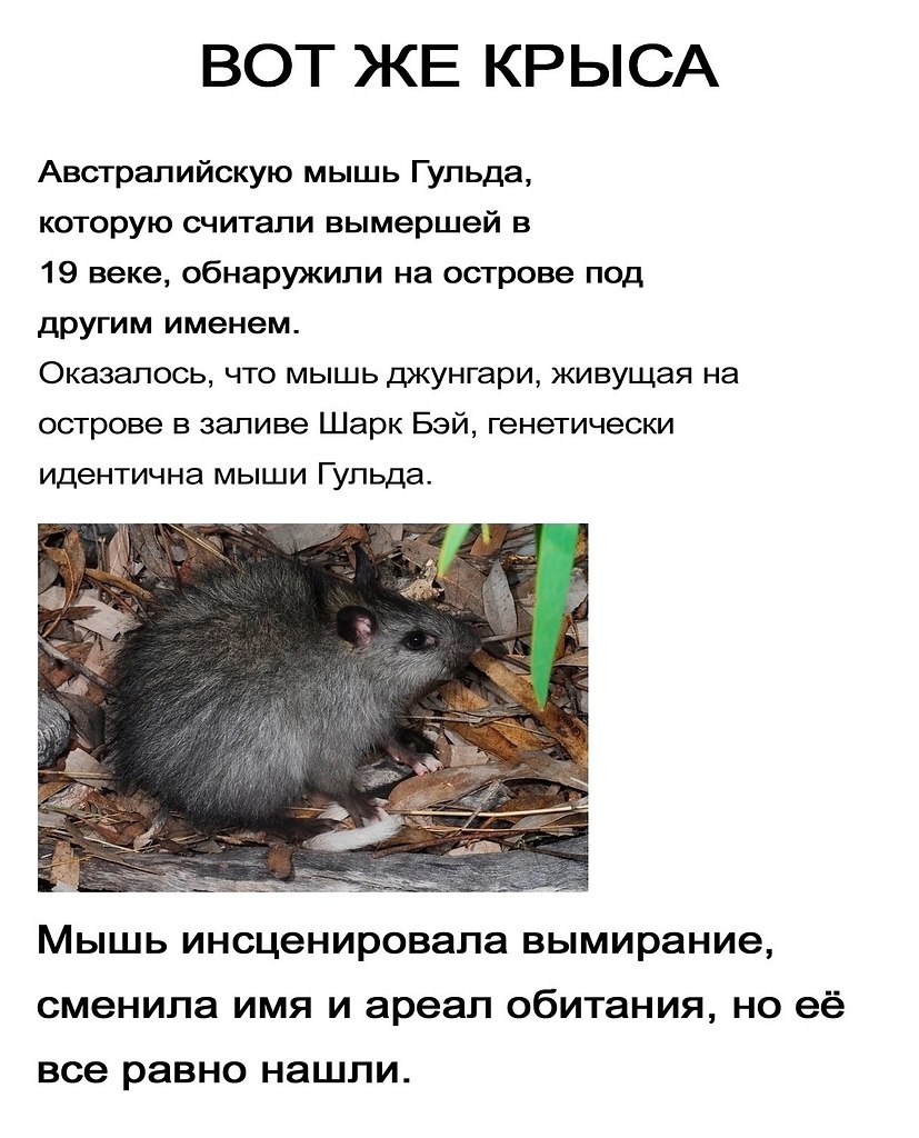 Discovery - 17  2025  01:52