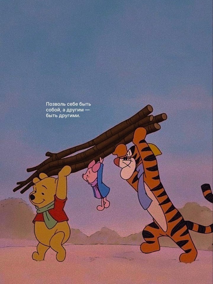    -  - 5