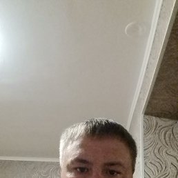 , 36, 