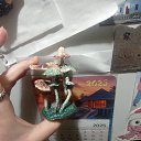 ���� Danja, ��������� - ��������� 6 ������� 2025 � ������ ���� ����������