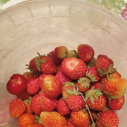 ���� ������� ���������, �������, 47 ��� - ��������� 16 �������� 2024