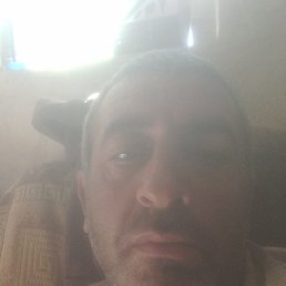 , 41, 