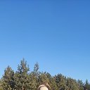 ���� �������, ������� �����, 50 ��� - ��������� 31 ������� 2024 � ������ ���� ����������