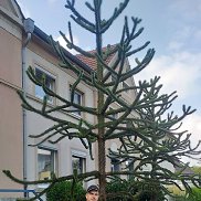 , 37 , 