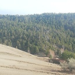 ����, ������, 50 ���