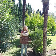  , 66 , 