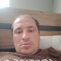 , 34, 