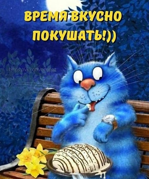 ���� - 11 ������� 2026 � 11:22